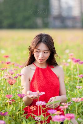 丁香花电影高清在线小说阅读